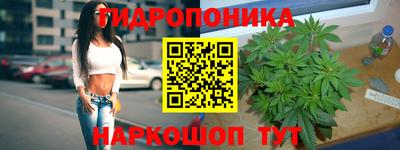 метадон Дубна
